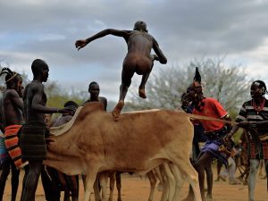 Cultural Tours